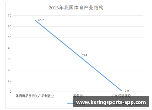中国体育明星现状与未来发展全景分析